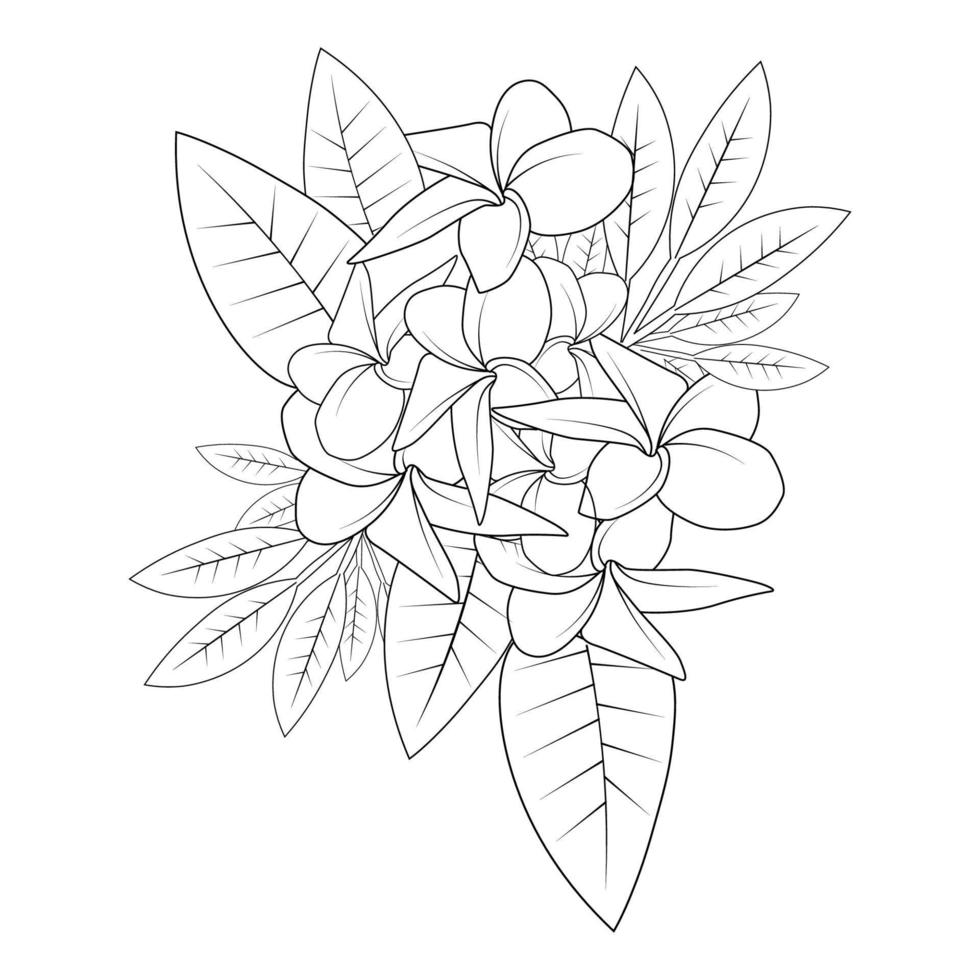 plumeria flower doodle coloring page outline vector illustration of isolated in white background