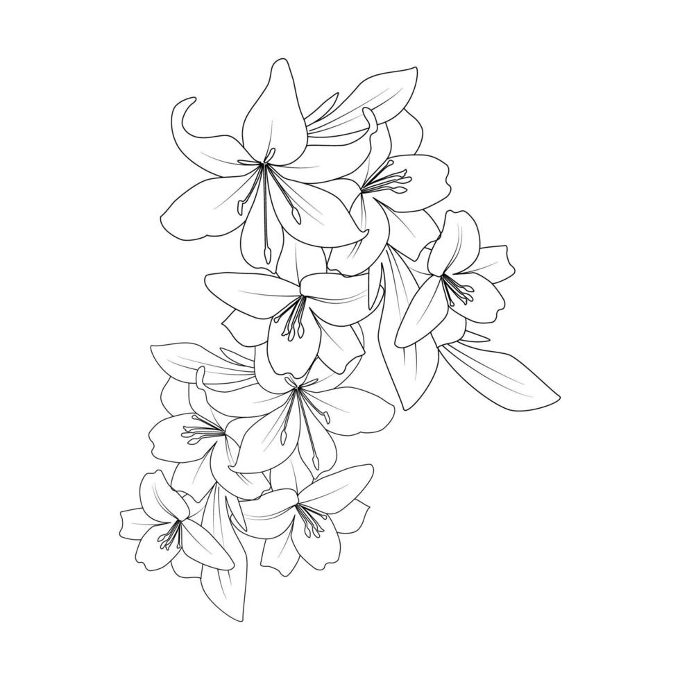 wedding background of doodle lily flower line art drawing for printing element vector