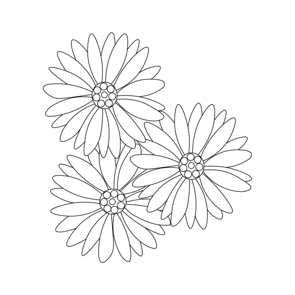 chamomile flowers black and white outline vector illustration isolated on white background