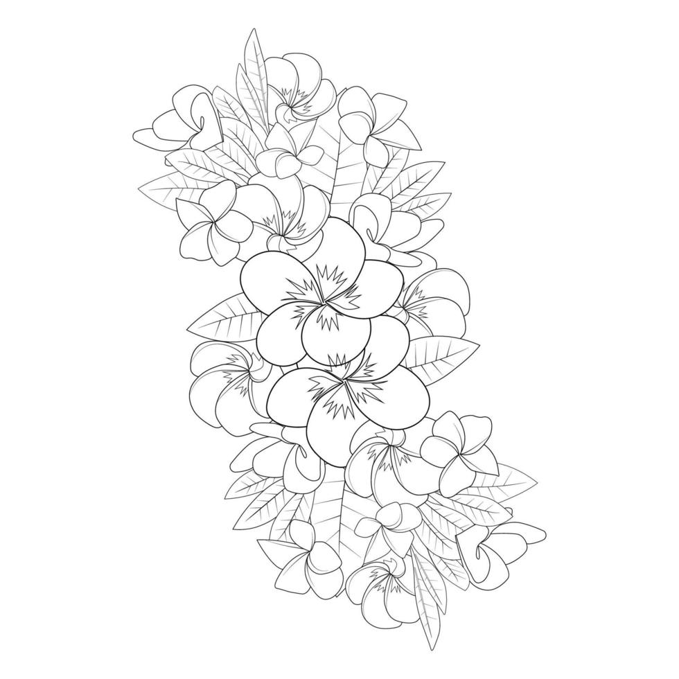 plumeria flower line art sketch with outline stroke of doodle coloring page for print vector