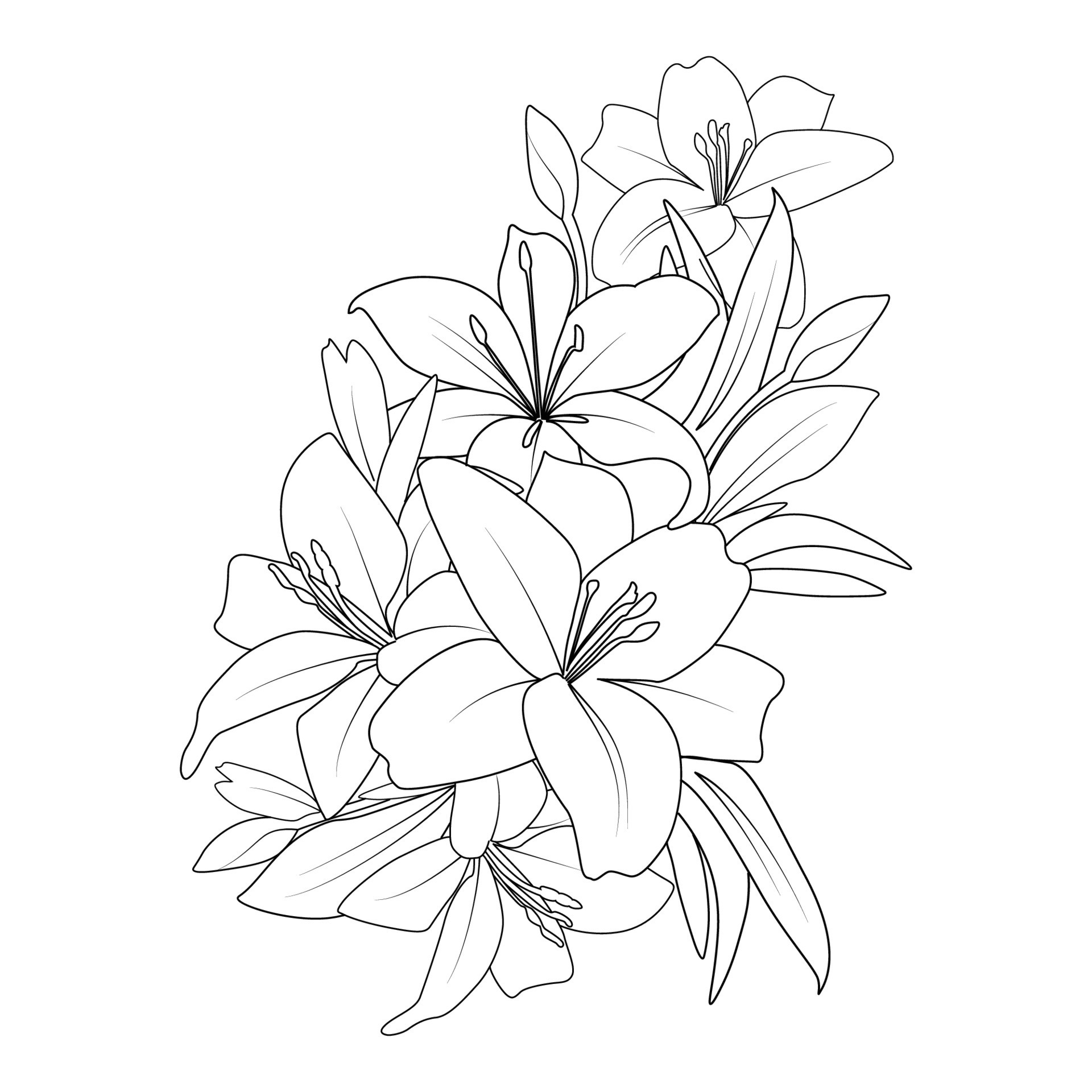 lily flower coloring page drawing with line art drawing for printing