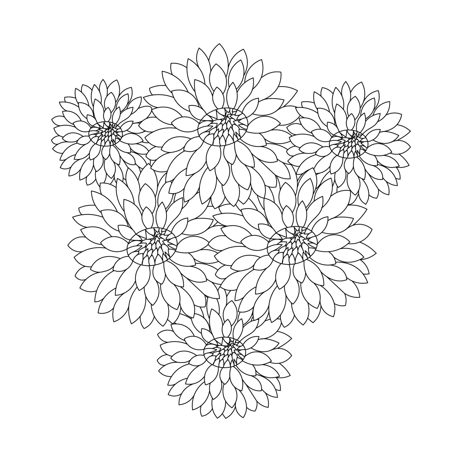 dahlia or dalia flower coloring page of vector illustrations in hand