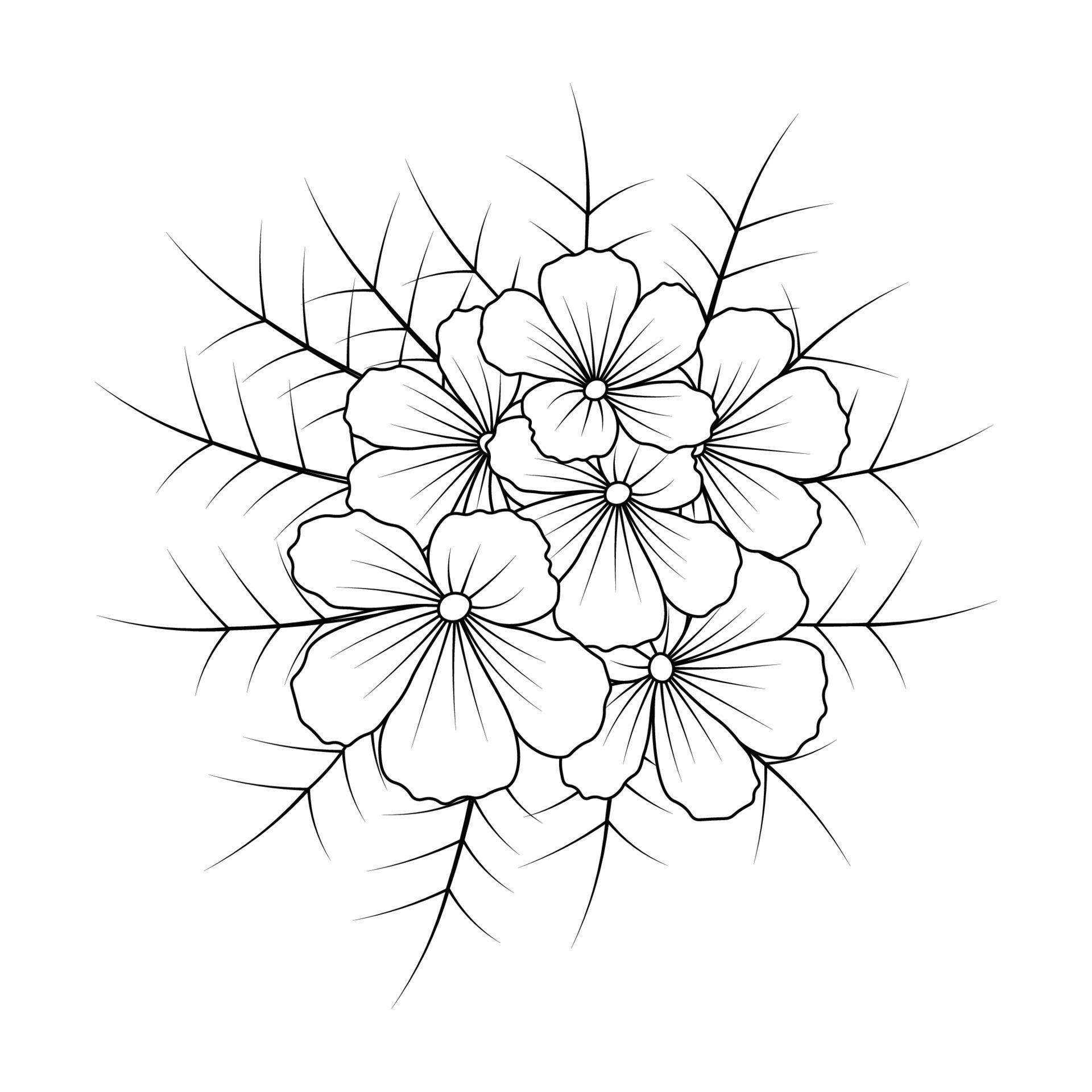 beautiful line drawing flower coloring book page element design for