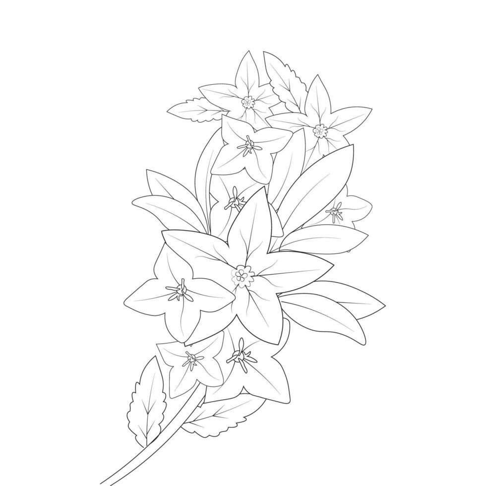 bell flower drawing coloring page of doodle style print graphic element vector