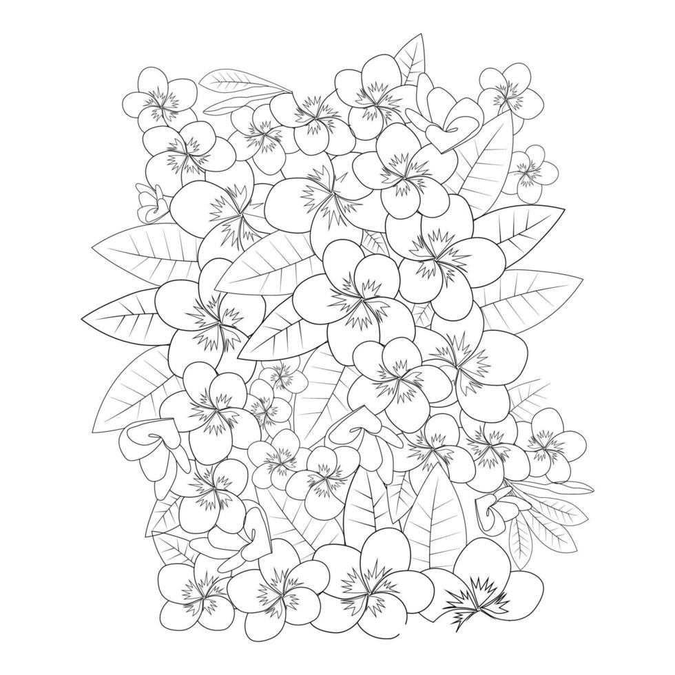 plumeria flower doodle coloring page outline vector illustration of isolated in white background