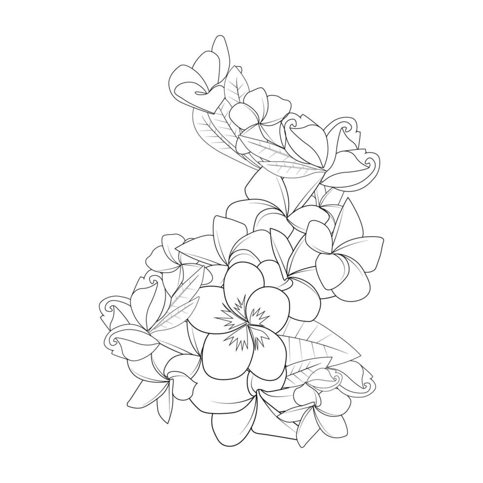 frangipani flower doodle coloring page outline vector illustration of isolated in white background