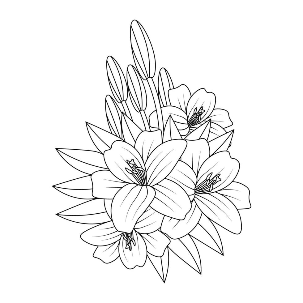 lily flower coloring page drawing for kids activies art with line drawing illustration vector