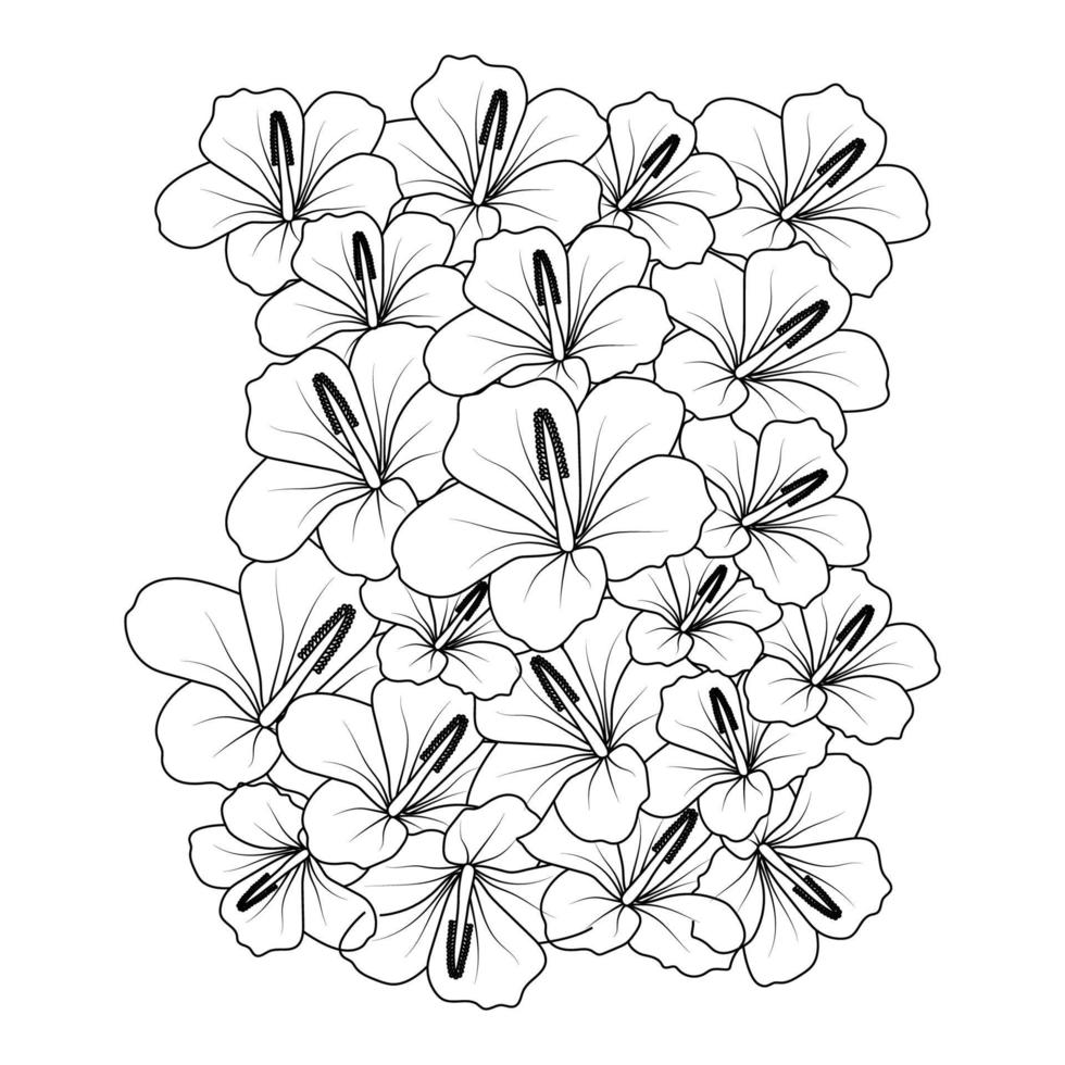 Hibiscus flower line art drawing black stroke vector illustration sketch on white background