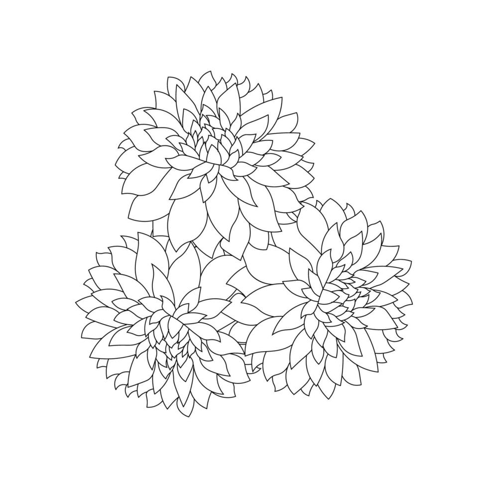 dahlia or dalia flower coloring page of vector illustrations in hand drawn sketch doodle style line art