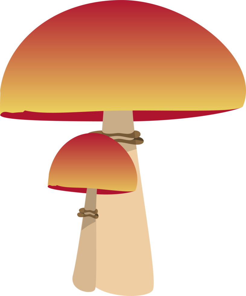 Mushroom clipart design illustration png