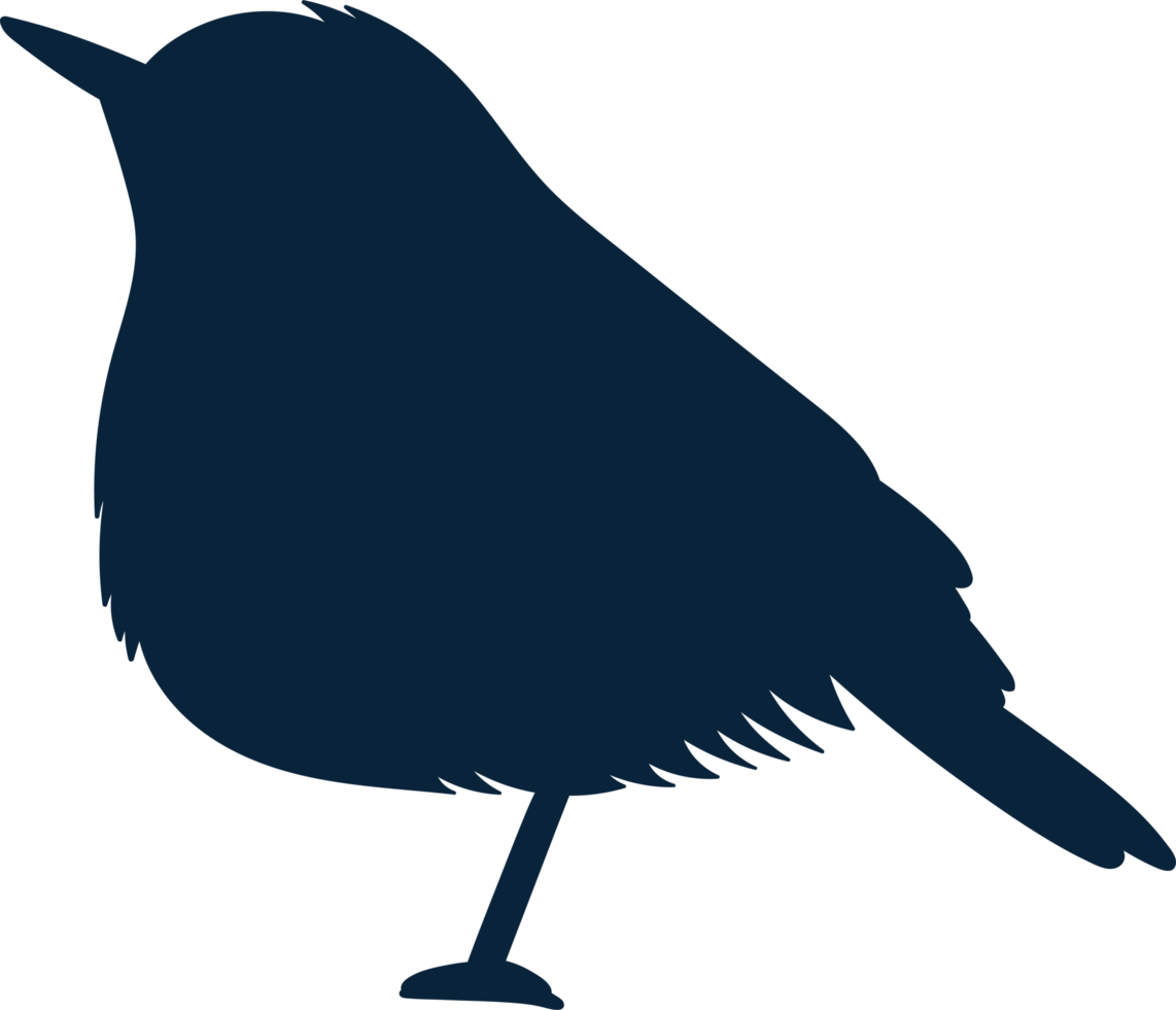 ilustração de design de clipart de pássaros png