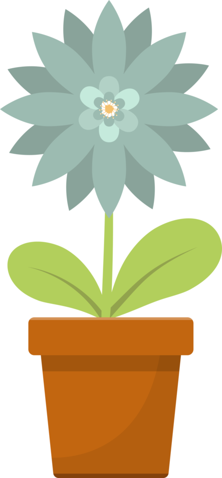 flor na ilustração de design de clipart de pote png