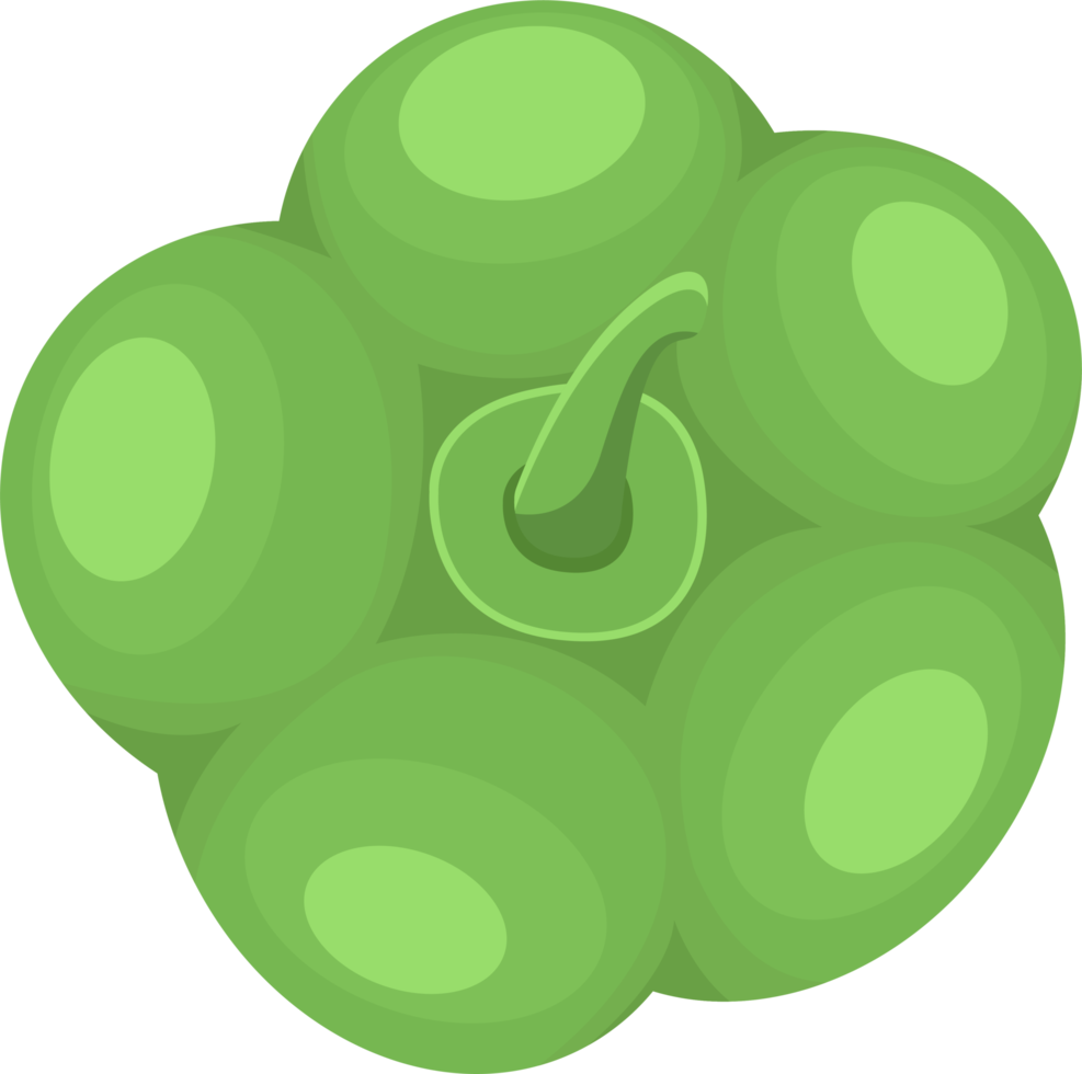 ilustração de design de clipart de pimenta png