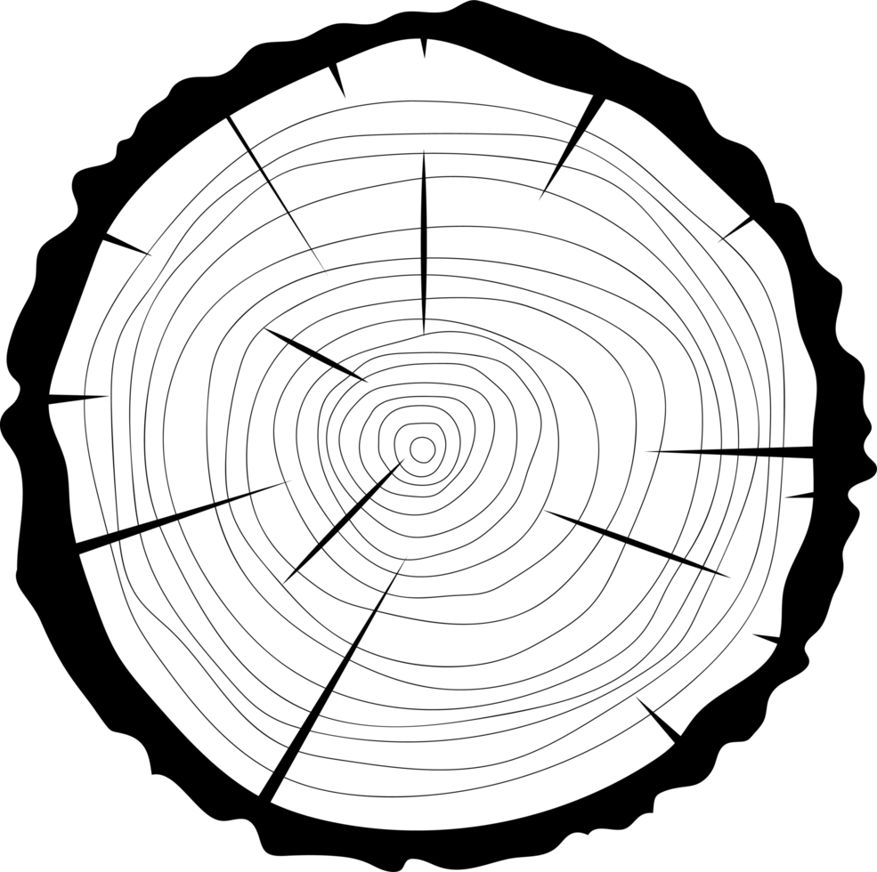 Cross section of wooden tree clipart design illustration png