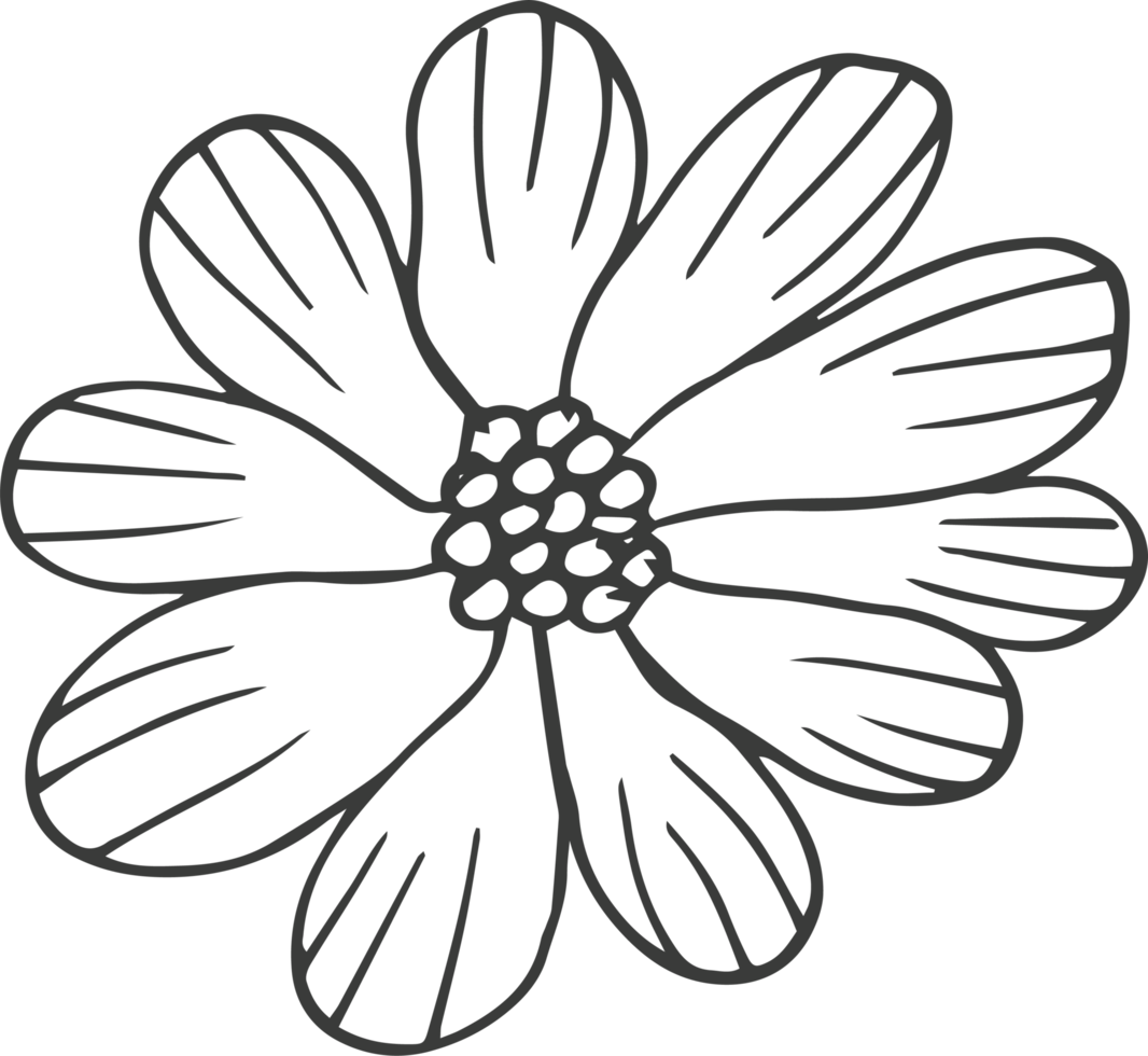 ilustração de design de clipart de flores desenhadas à mão png