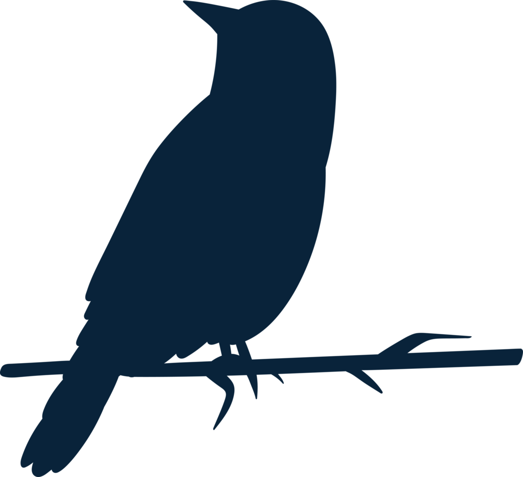 oiseaux clipart conception illustration png