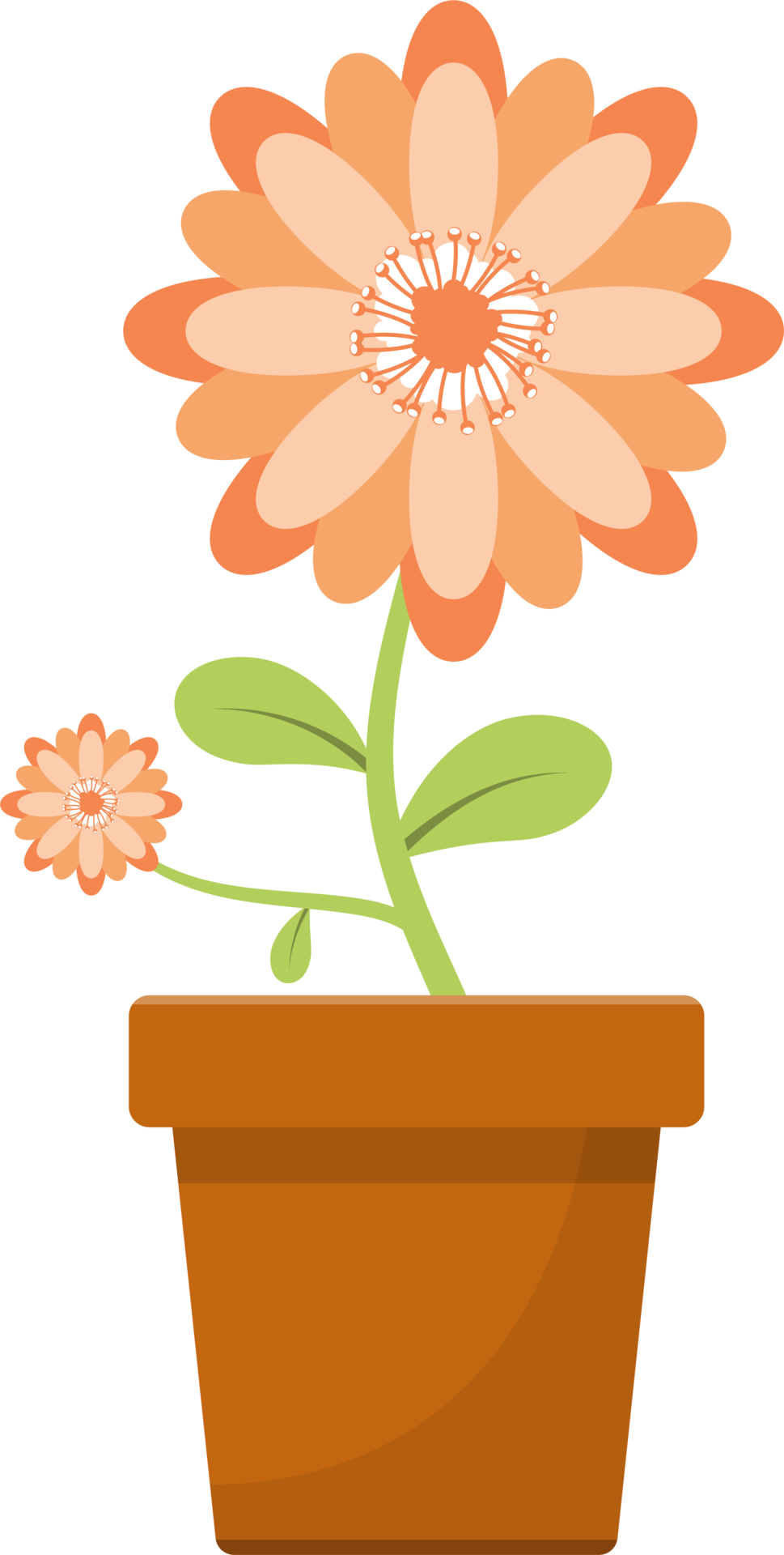 Flower in pot clipart design illustration 9399160 PNG