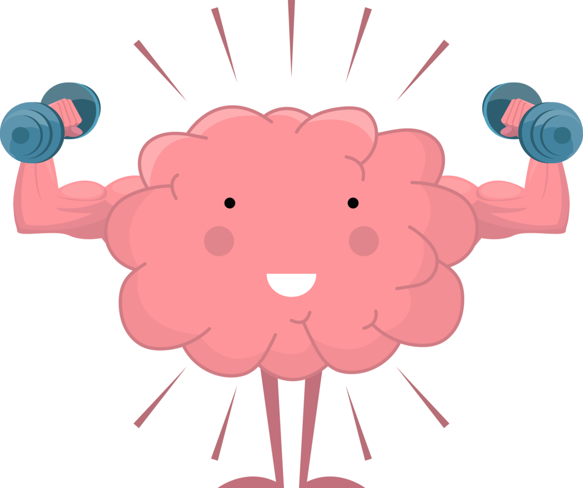 treinamento cerebral bonito com ilustração de clipart de haltere png