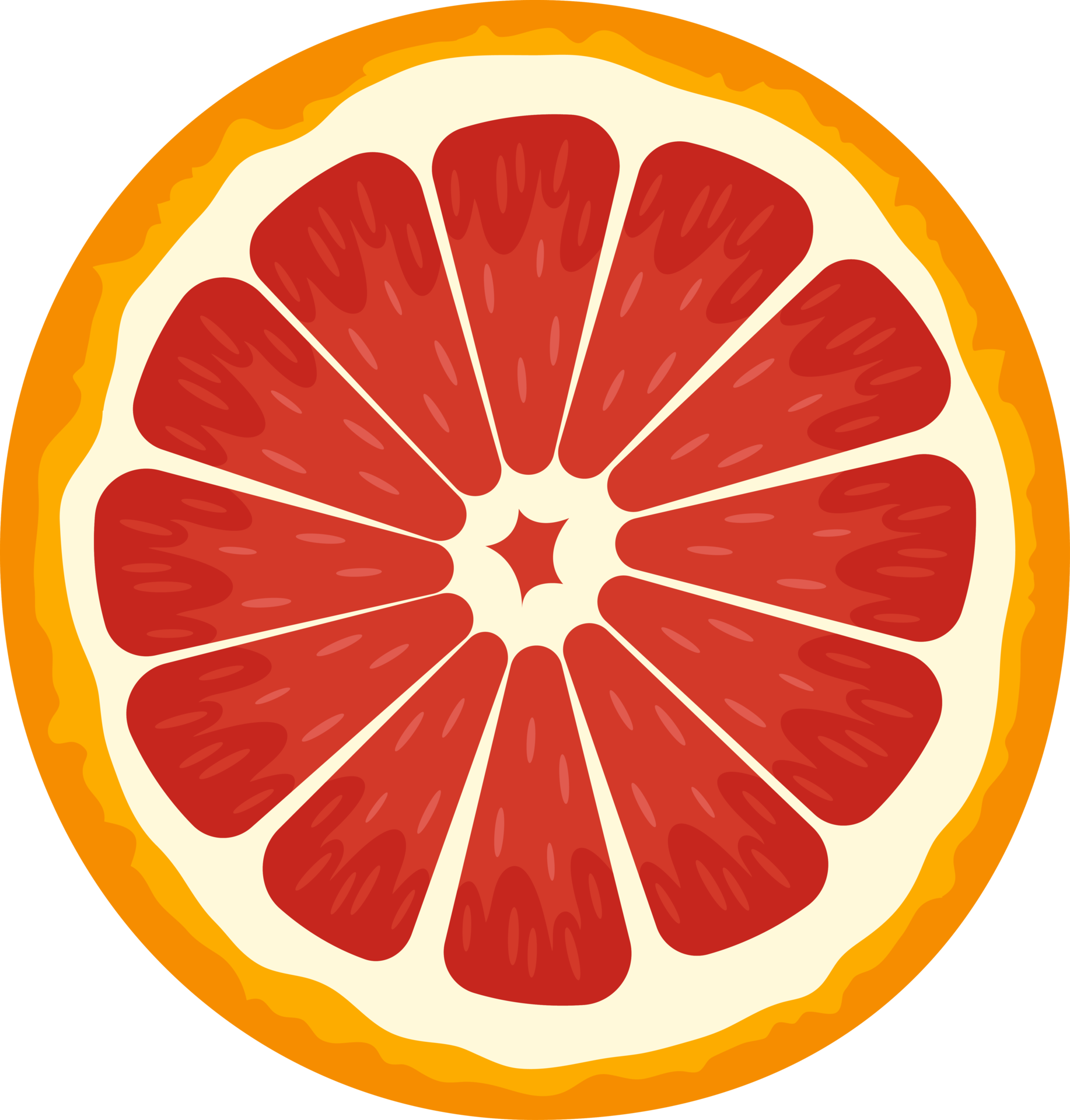 citrus jordan low