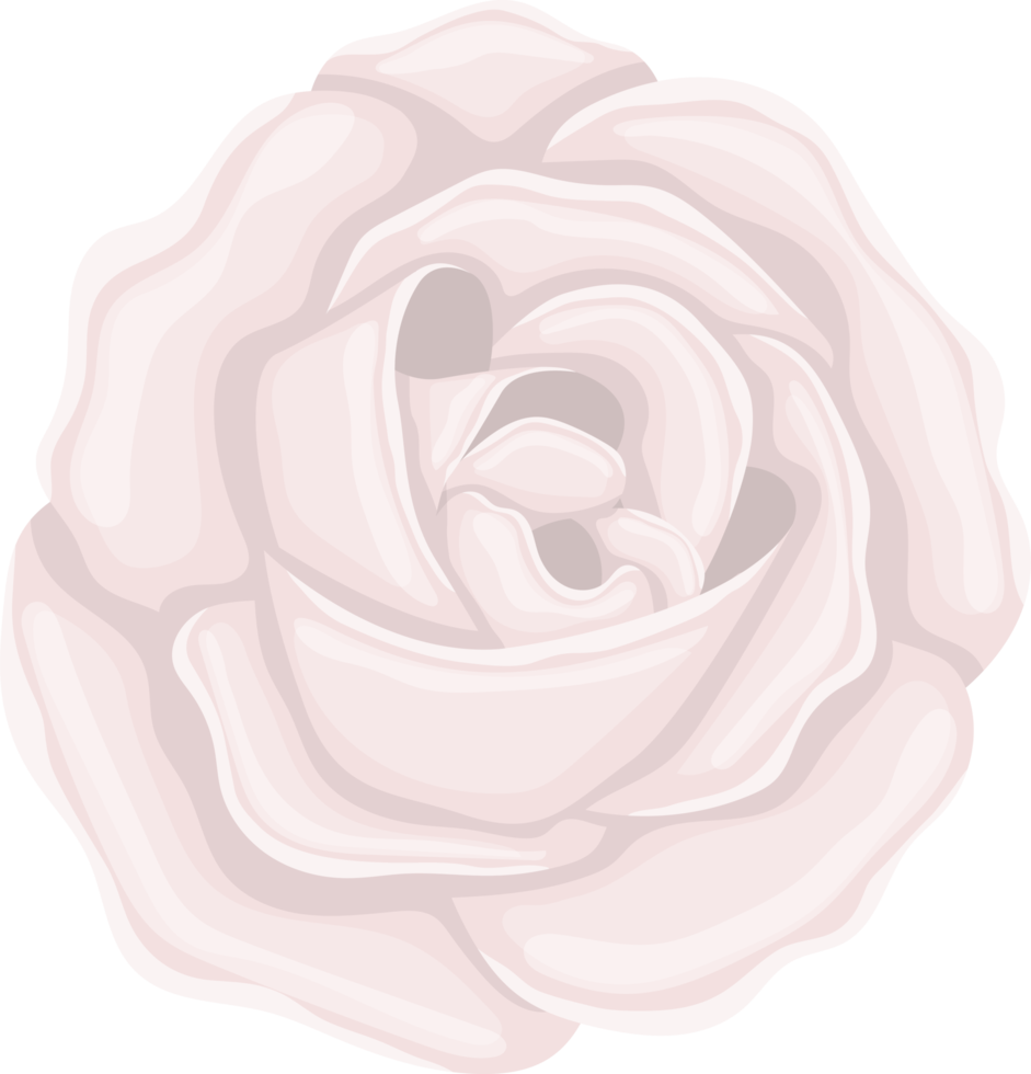 Rose flower clipart design illustration png