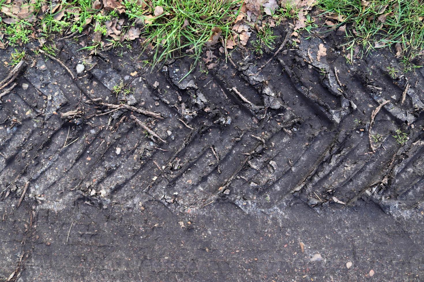 Detailed close up view on agricultural grounds and acre in high resolution photo