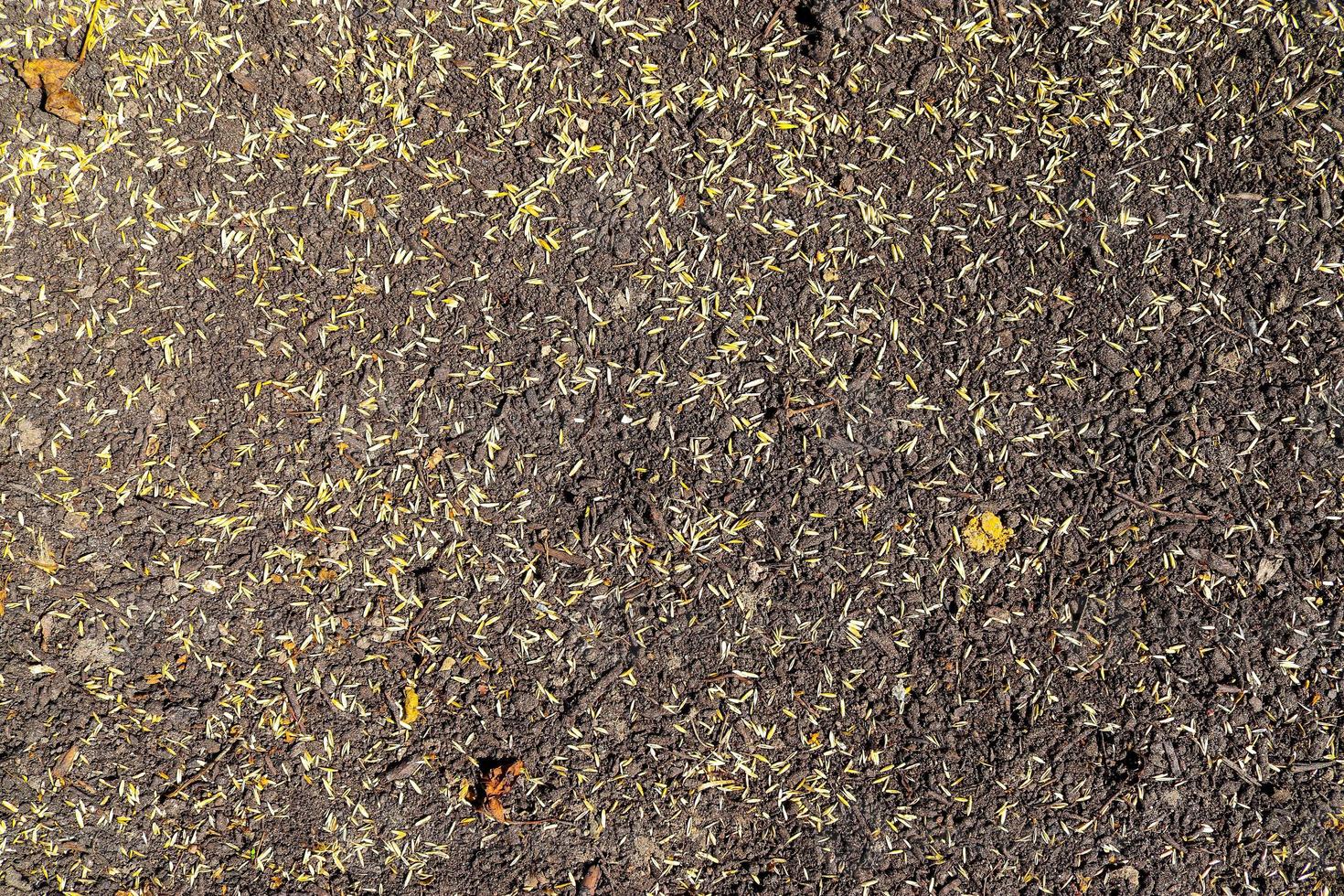 Detailed close up view on agricultural grounds and acre in high resolution photo