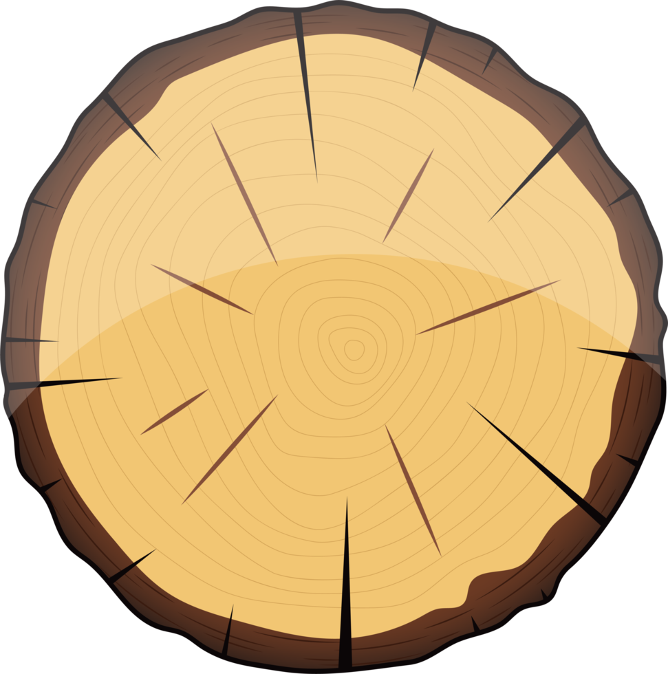 Cross section of wooden tree clipart design illustration png
