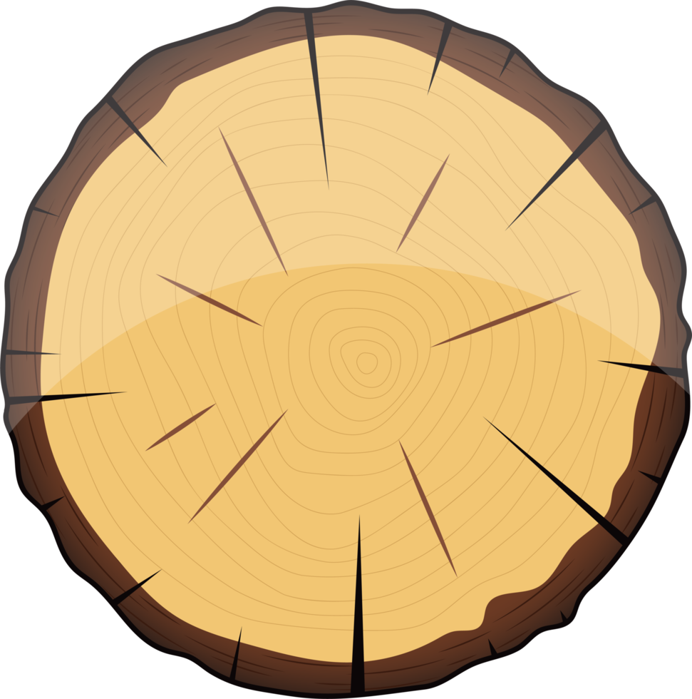 sección transversal de la ilustración de diseño de clipart de árbol de madera png