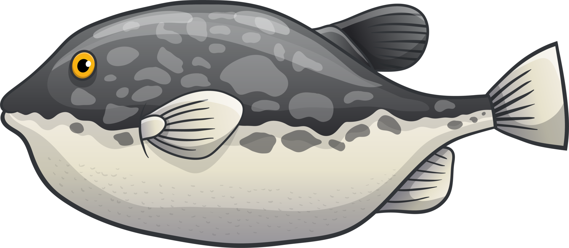 Fish drawing clipart design illustration png