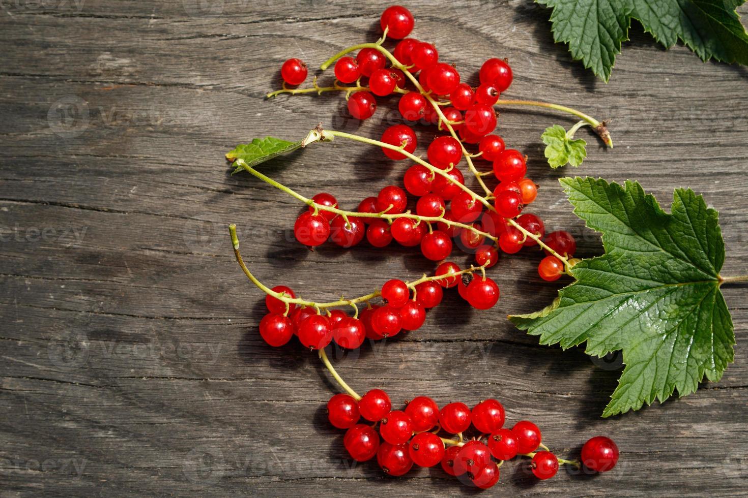 Red currant berries photo