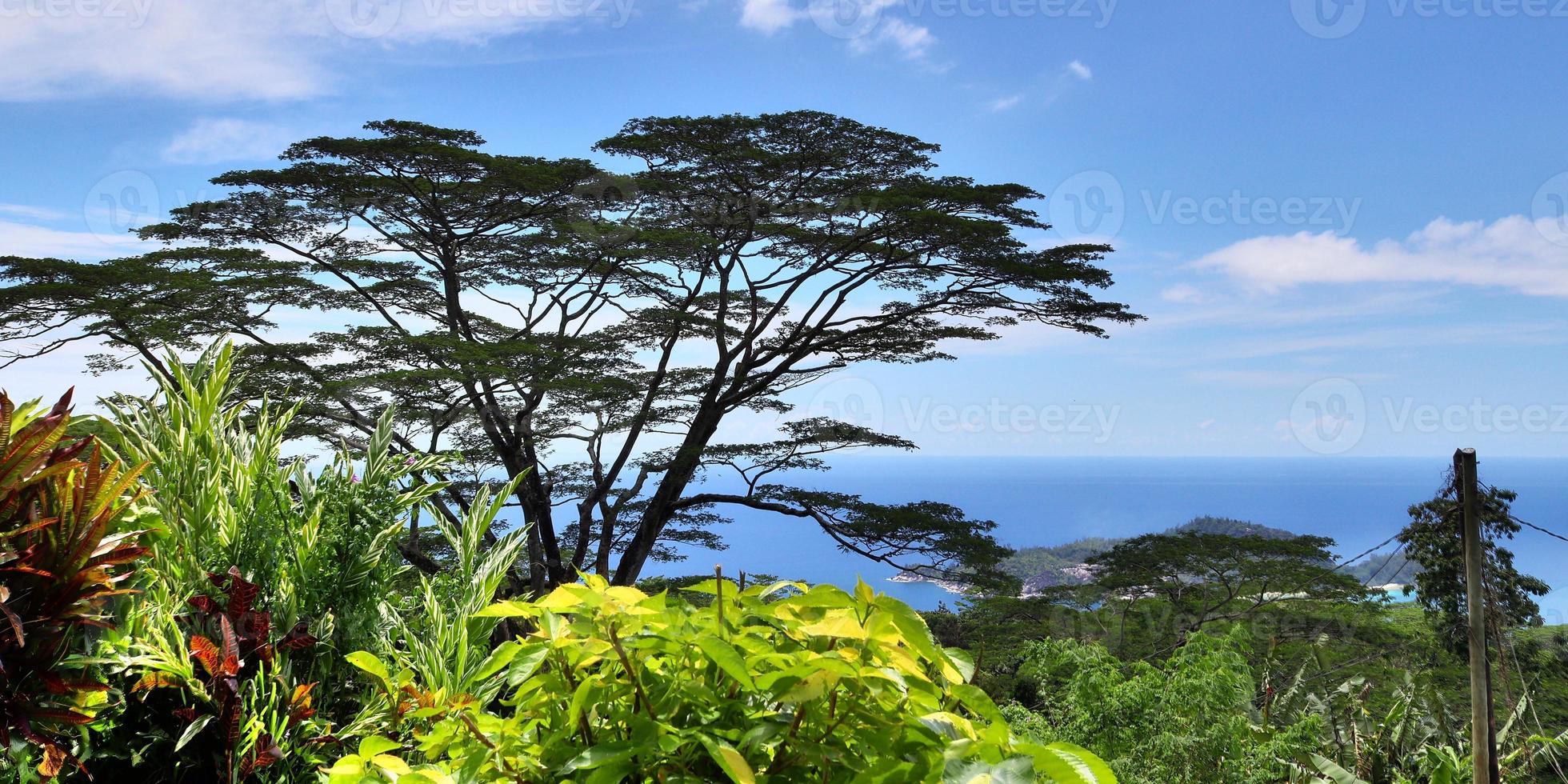 Beautiful impressions of the tropical landscape on the Seychelles islands paradise photo