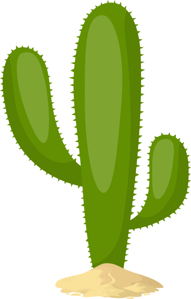 Ilustración de diseño de imágenes prediseñadas de cactus png