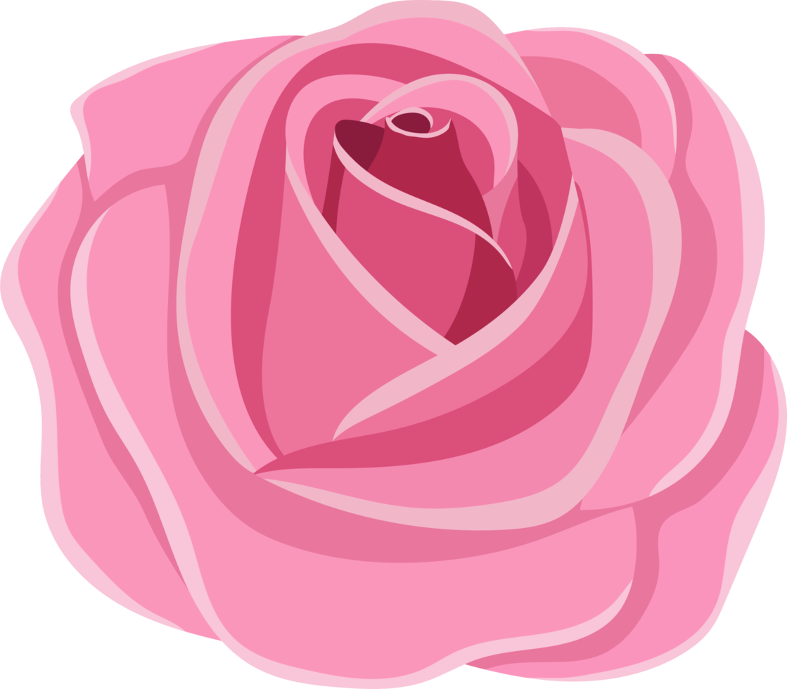 Rose elements clipart design illustration png