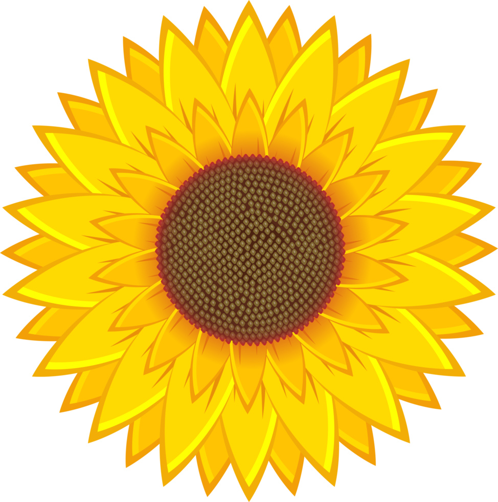 zonnebloem clipart ontwerp illustratie png