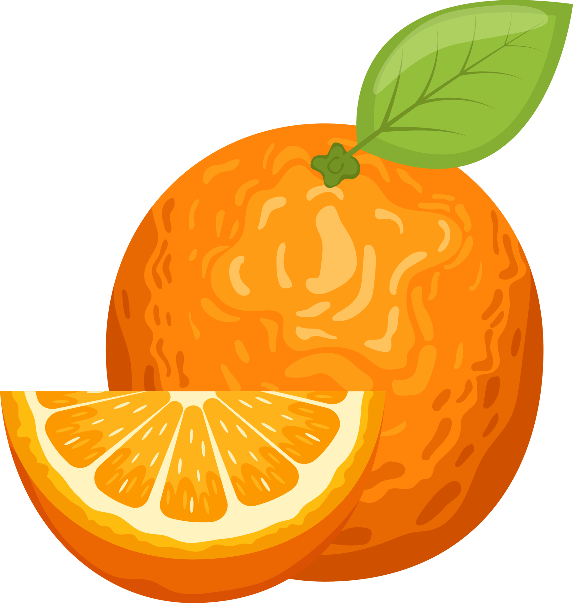 Orange Fruit PNG Free Images with Transparent Background - (1,752 Free  Downloads)