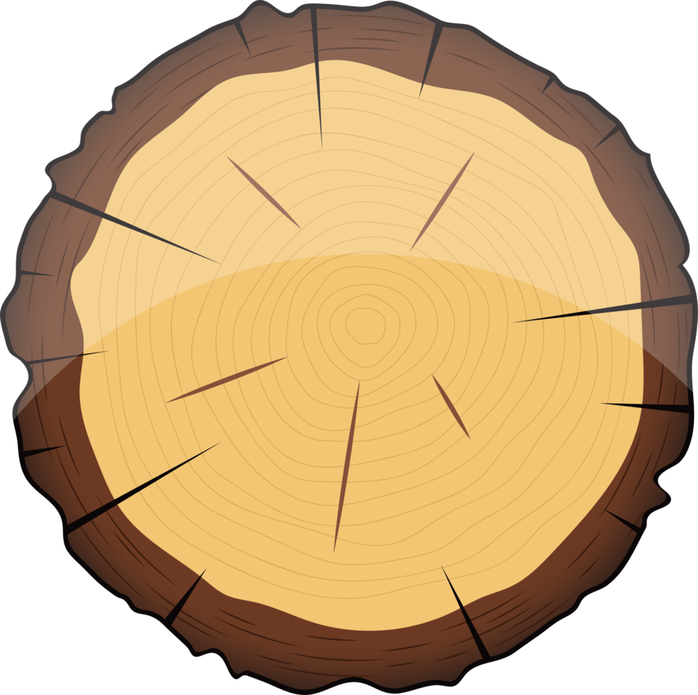sección transversal de la ilustración de diseño de clipart de árbol de madera png