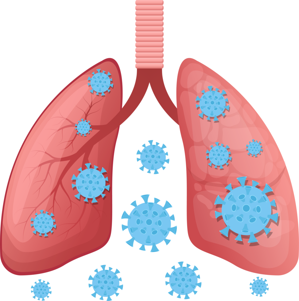 lung clipart design illustration png