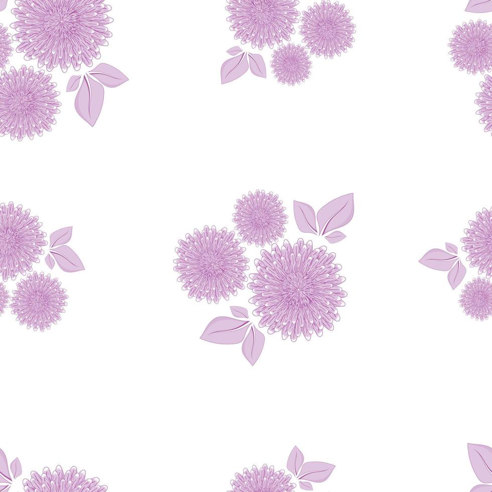 Seamless pattern with a botanical ornament of purple asters isolated on a white background for printing on textiles, home decor, wallpaper on the theme of flowering in the garden vector