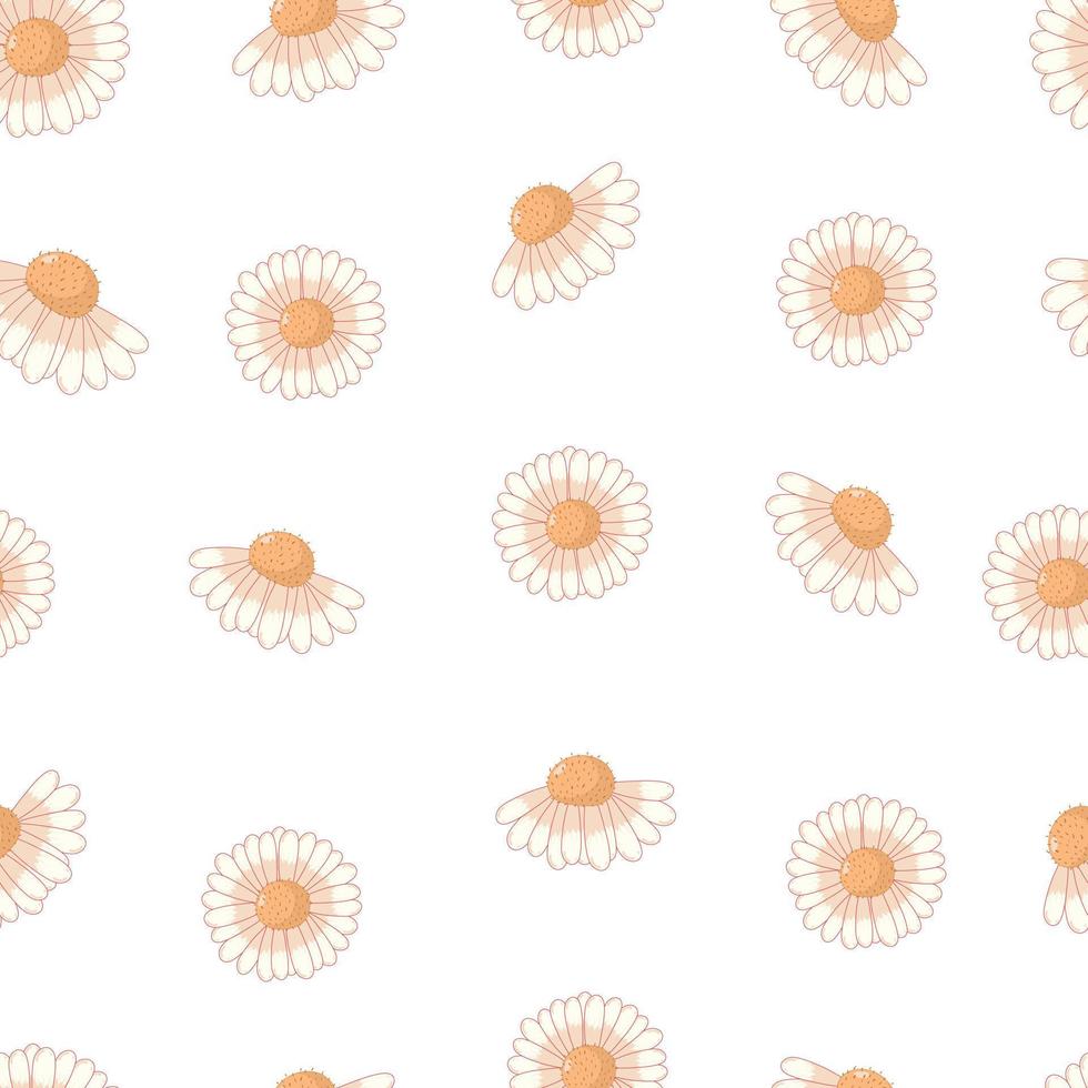 patrón de ornamento botánico transparente con margaritas de otoño en colores pastel aislado sobre fondo blanco en estilo de dibujos animados planos vector