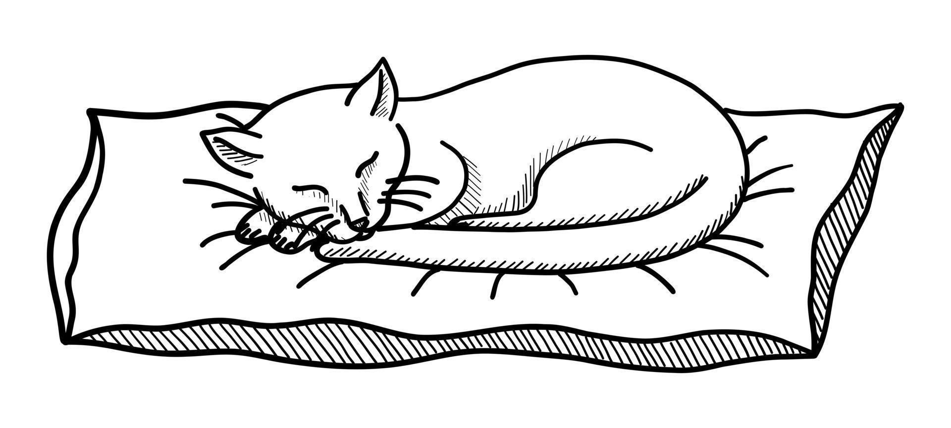 VECTOR ILLUSTRATION OF A SLEEPING CAT ISOLATED ON A WHITE BACKGROUND. DOODLE DRAWING BY HAND