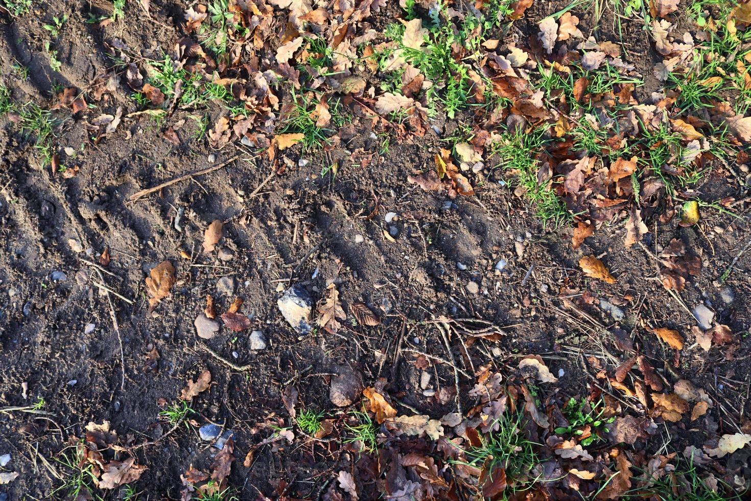 Detailed close up view on agricultural grounds and acre in high resolution photo