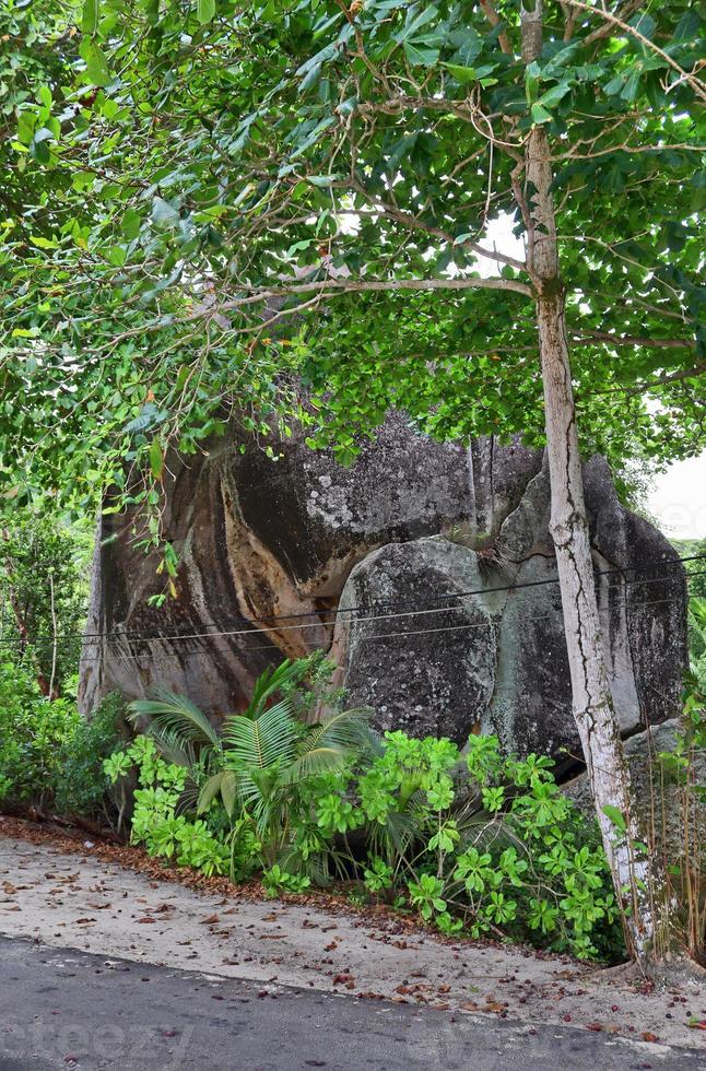 hermosas impresiones del paisaje tropical en el paraíso de las islas seychelles foto