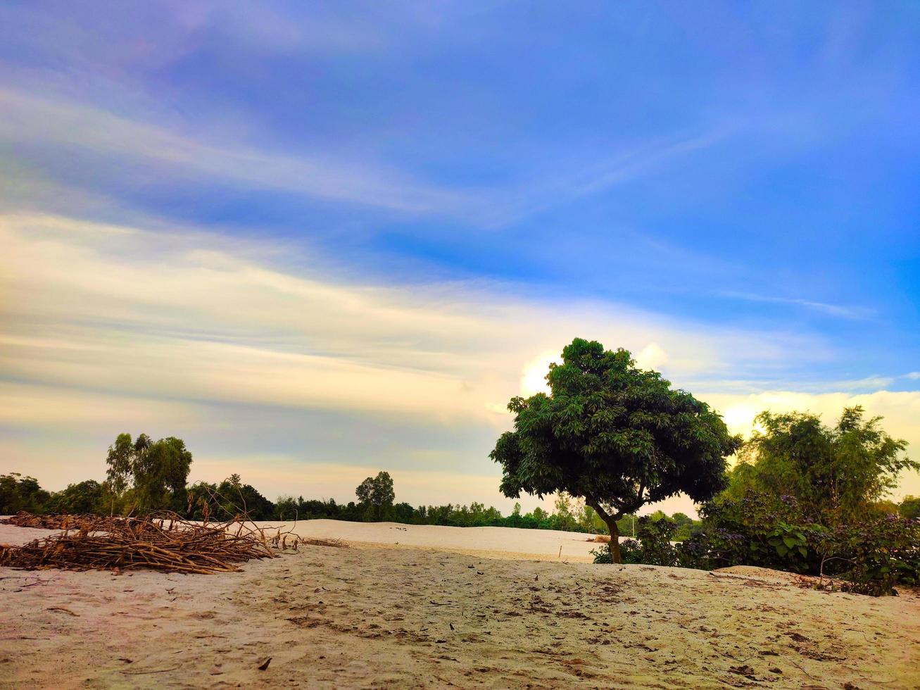 White Sand Field with blue sky in Asia.Beauty natural scenery. photo