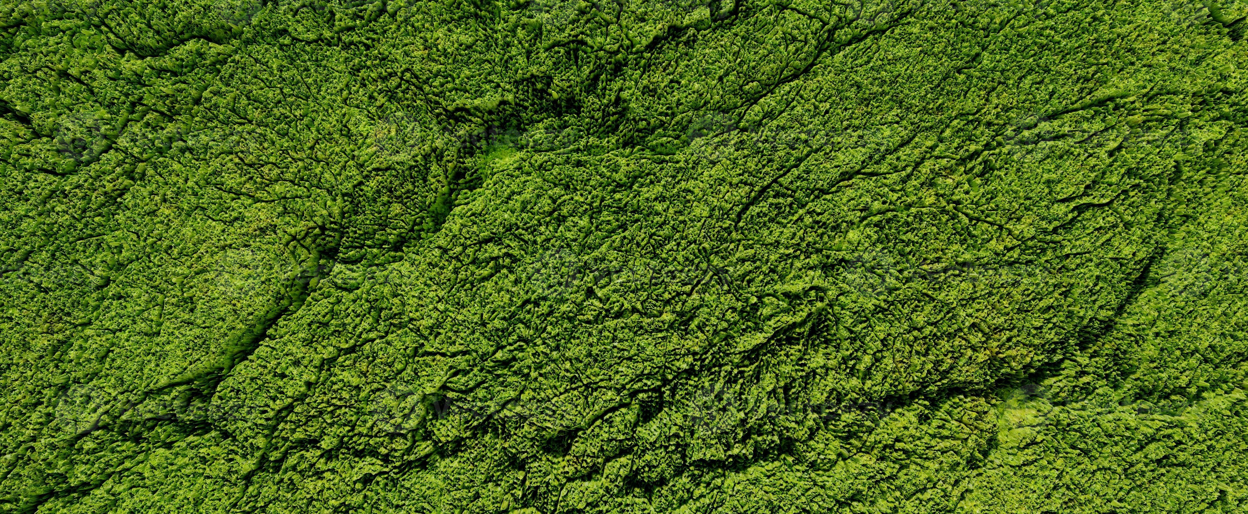 Green moss closeup, with a backdrop of woodland. Forest in the national  park. AI Generated 32411173 Stock Photo at Vecteezy