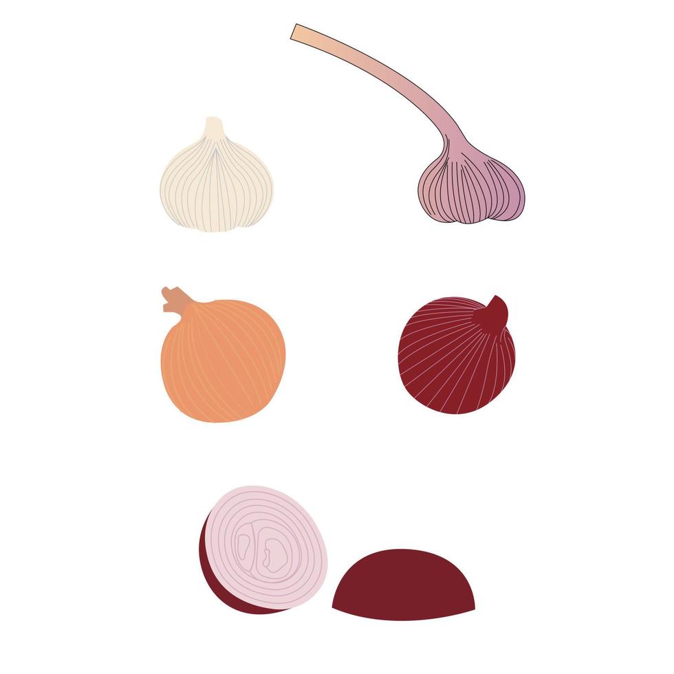 onions logo icon isolated on white background vector