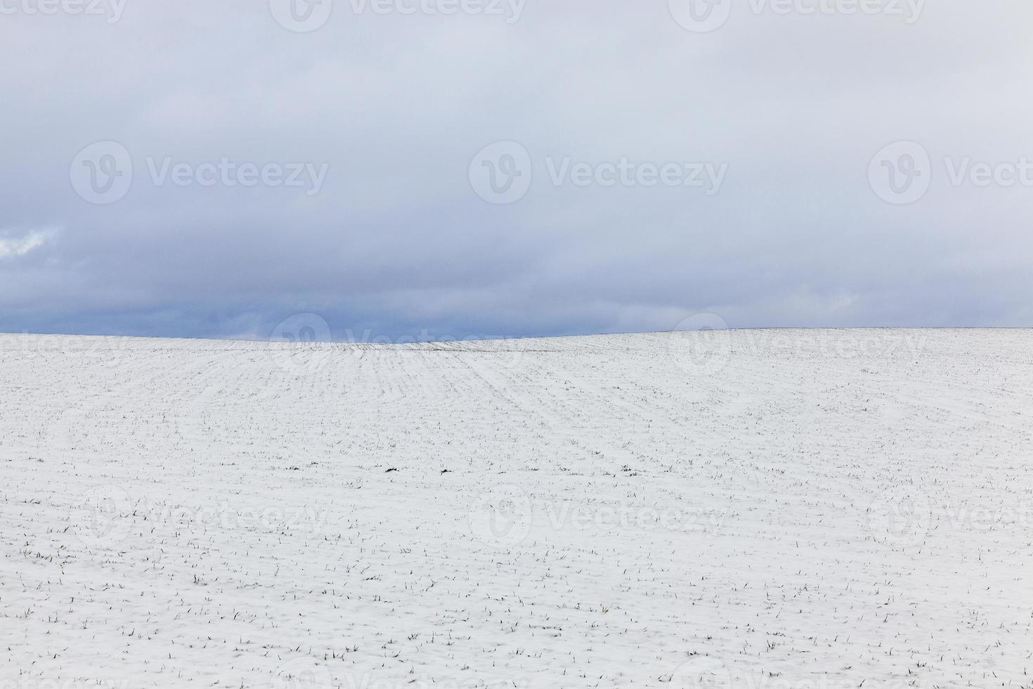 After snowfall, field photo
