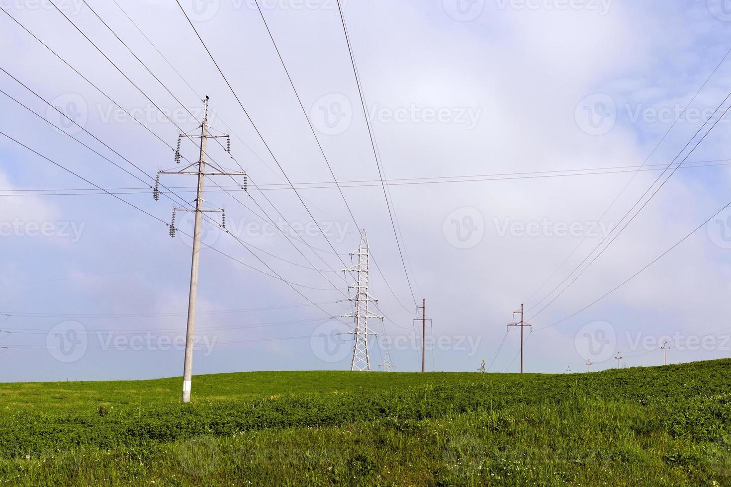 power line, field photo