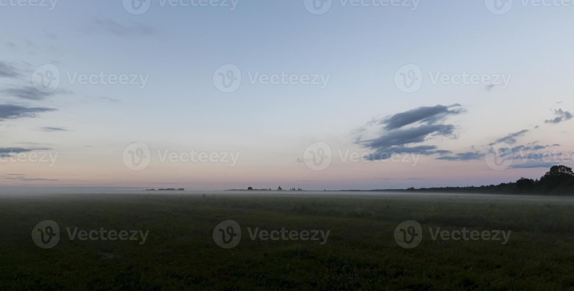 foggy landscape, field photo