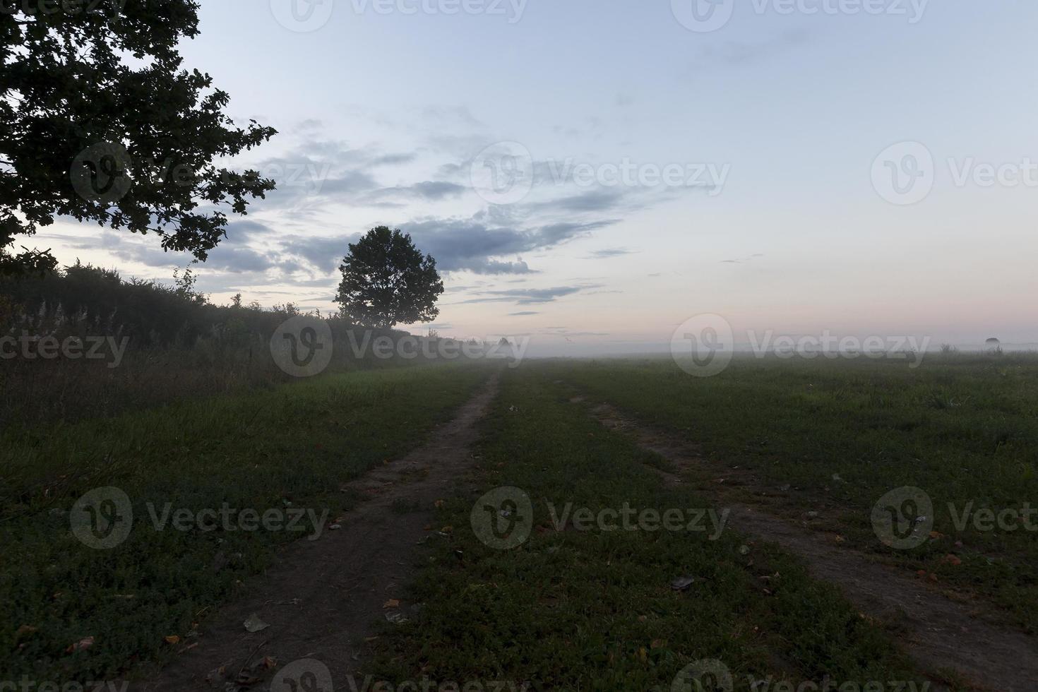 foggy landscape, road photo