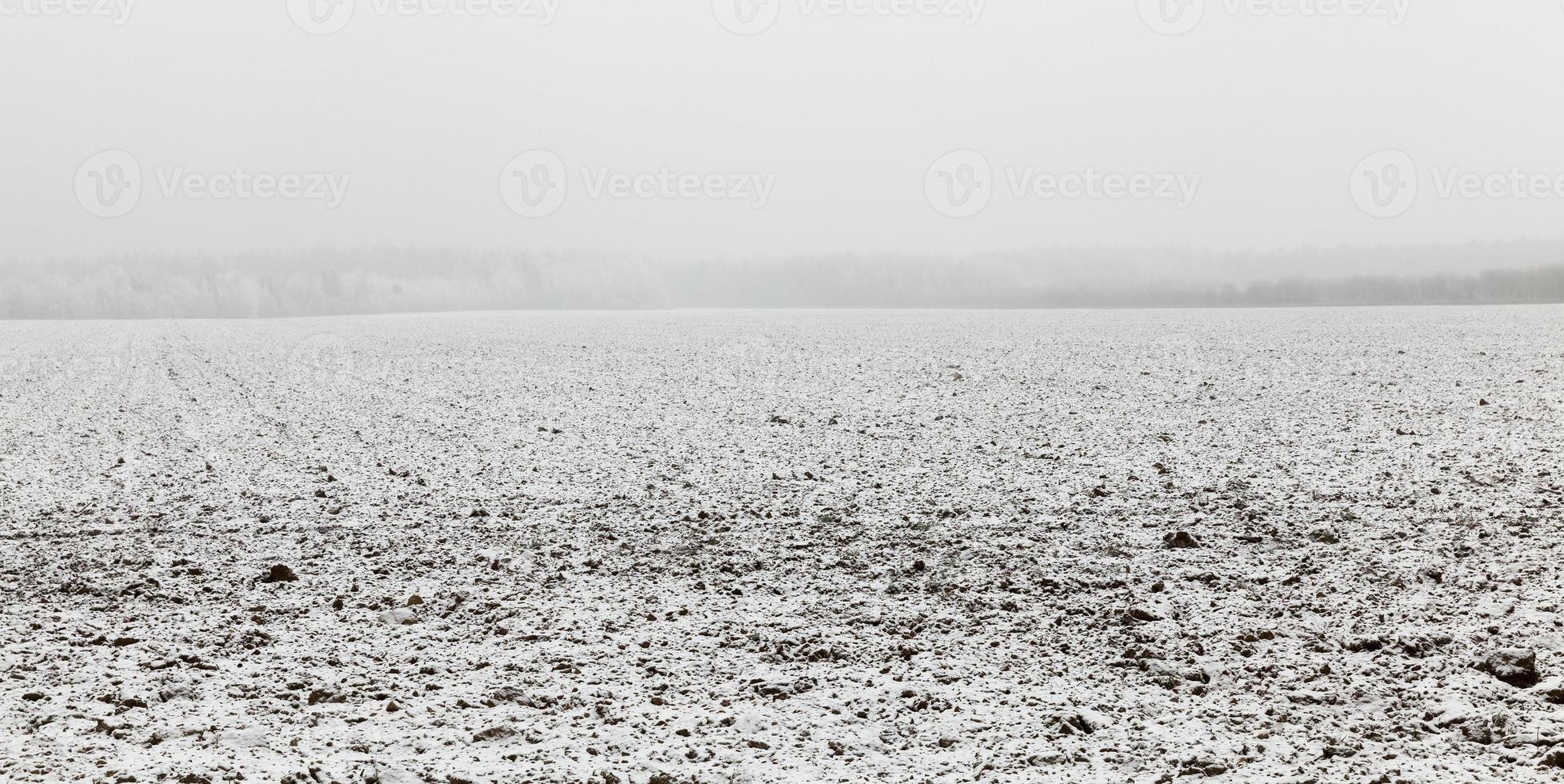 Agricultural field, winter photo